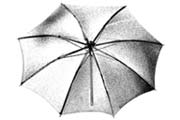 dpbrella